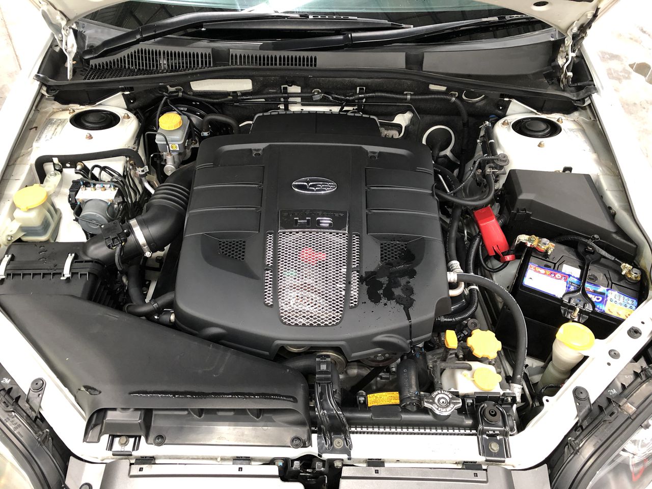 Younger Days Cabernet Sauvignon 2025 (12x 750mL), Heathcote, VIC.