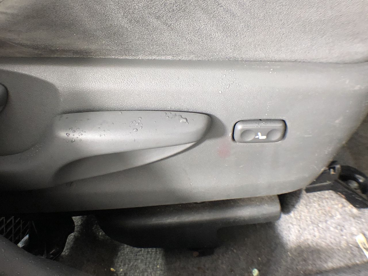 Fossil Tree Merlot 2022 (12x 750mL) SA