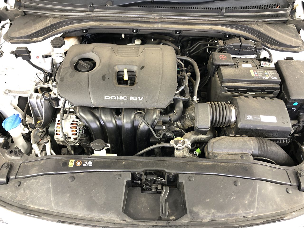 HEAD Riesling 2024 (12x 750mL) Eden Valley