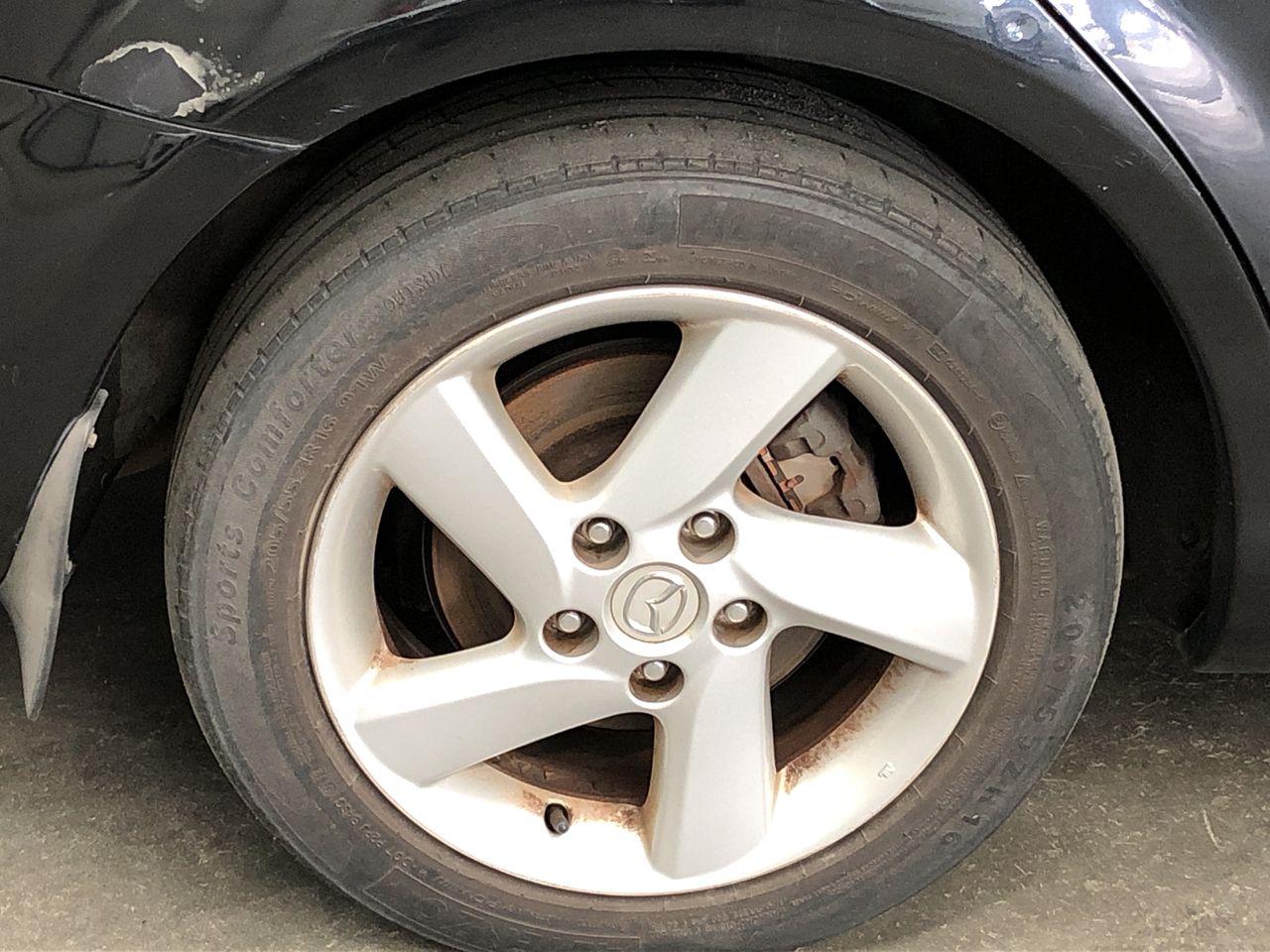 NEW!! LIMITED 2024 BLUEY DOLLARBUCK & BINGO $1 DOLLAR UNC Coin 2 CARD SET