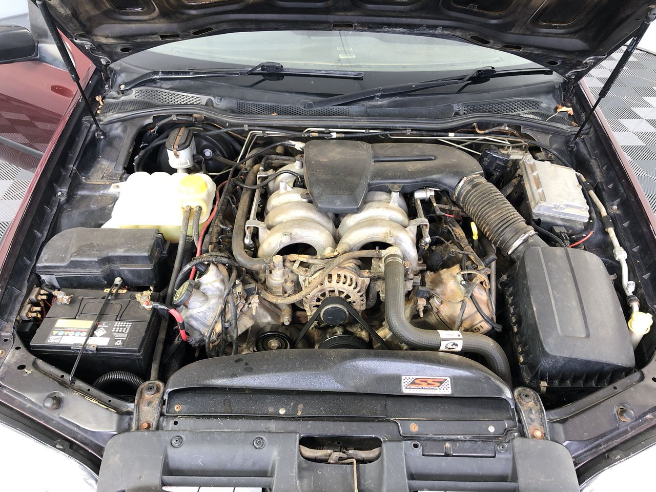 Stalking Horse Shiraz 2021 (12x 750mL) Langhorne Creek, SA