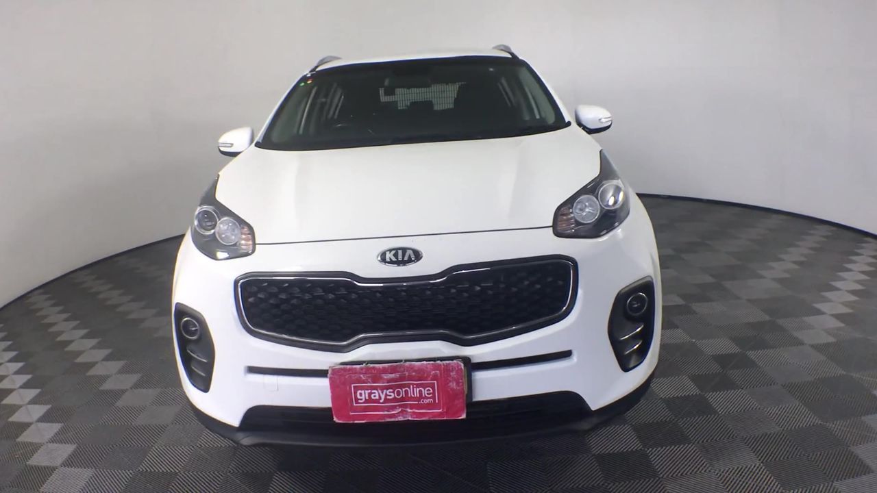 230 Strong Men Cleanskin Shiraz 2022 (12x 750mL) SA