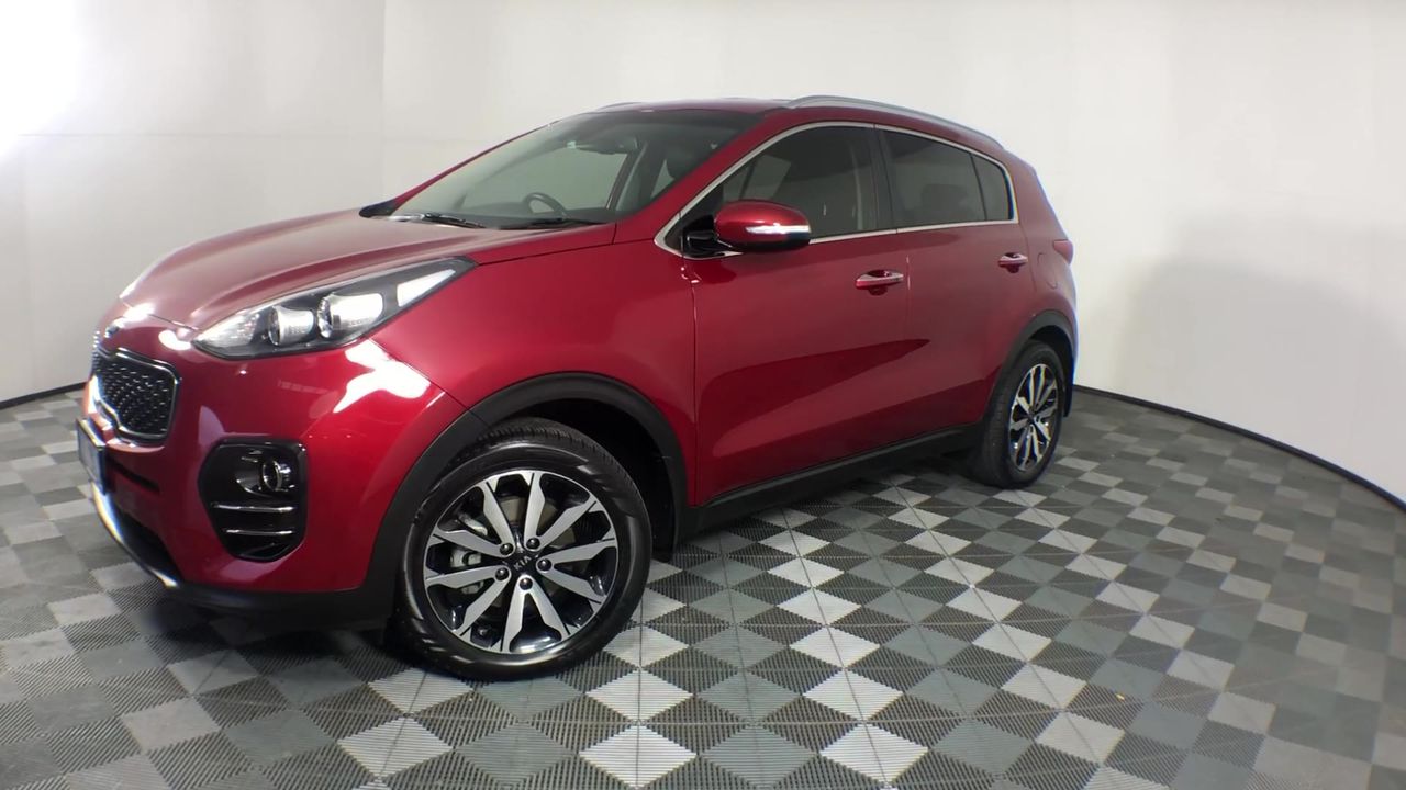 Oranguru trainer gallery full-art scenic card.