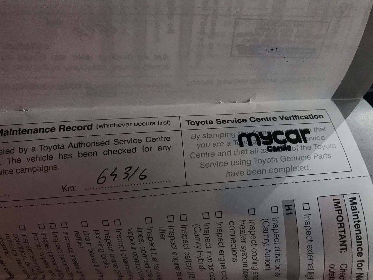 Bailey Platform Ladder