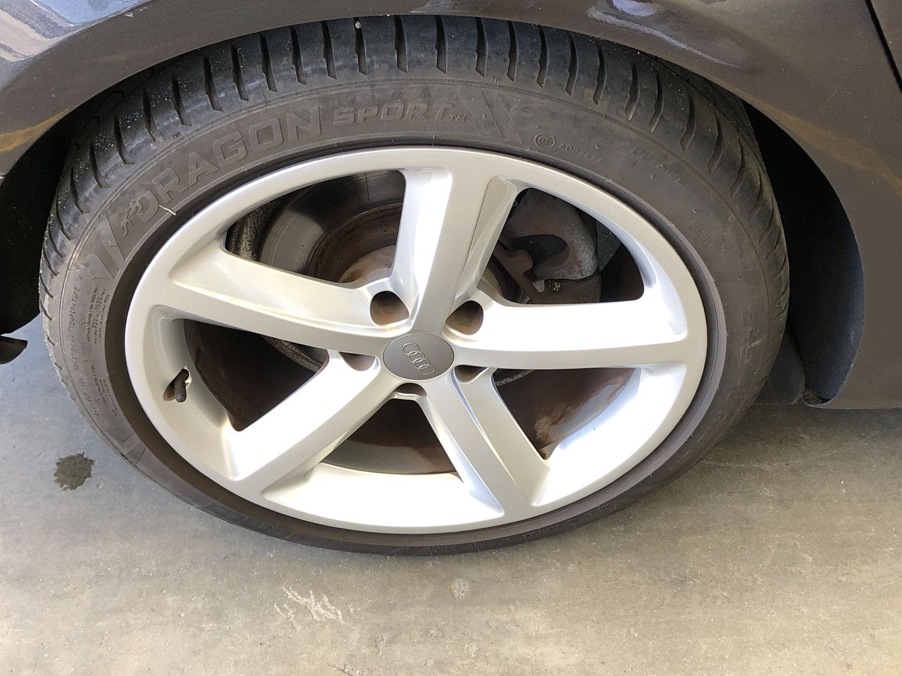 BAINBRIDGE Top Entry Mouse Trap, Small, 18 cm