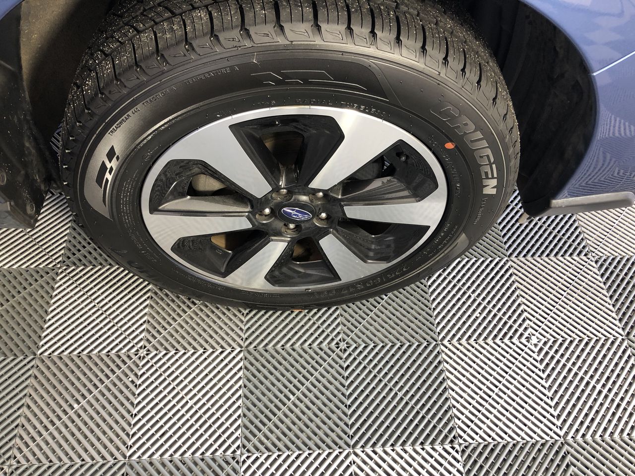 Echo Bay Pinot Grigio 2025 (12x 750mL) SEA