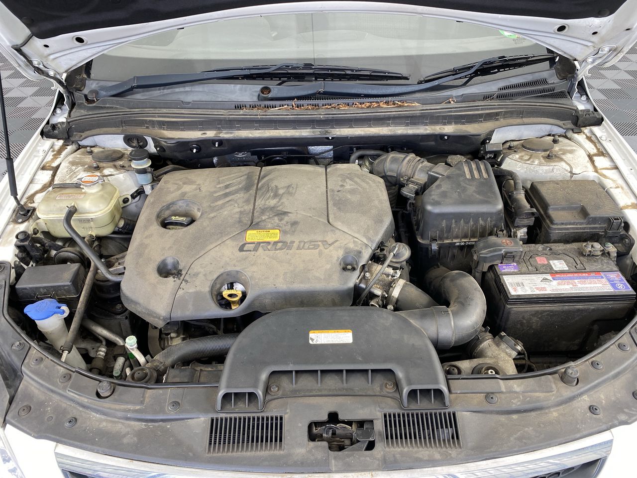 SOUTH POINT Sheet Set, Size King, Watery Floral. NB: Bed and Flatted Sheet