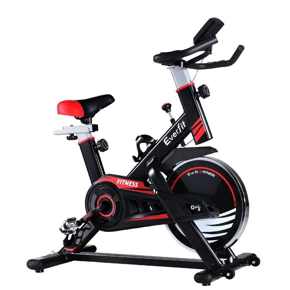 everfit fitness spin bike