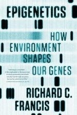Epigenetics: How Environment Shapes Our 