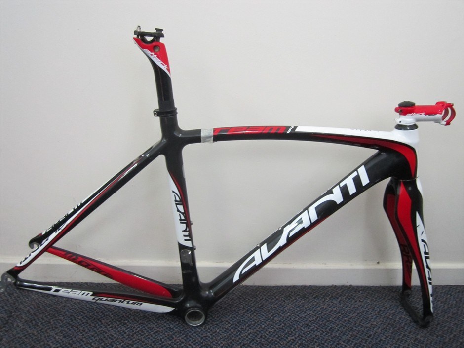 avanti medium frame size