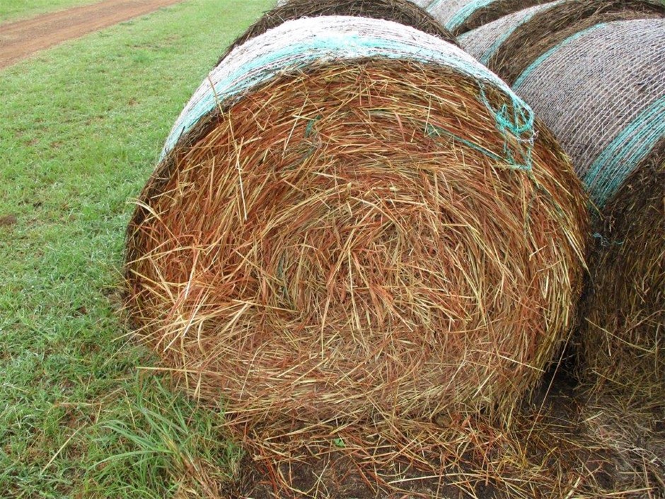 Qty 5x Round Bales Rhodes Grass Hay Auction (00167030079) Grays