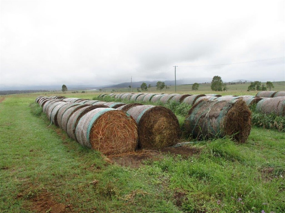 Qty 5x Round Bales Rhodes Grass Hay Auction (00167030079) Grays Australia