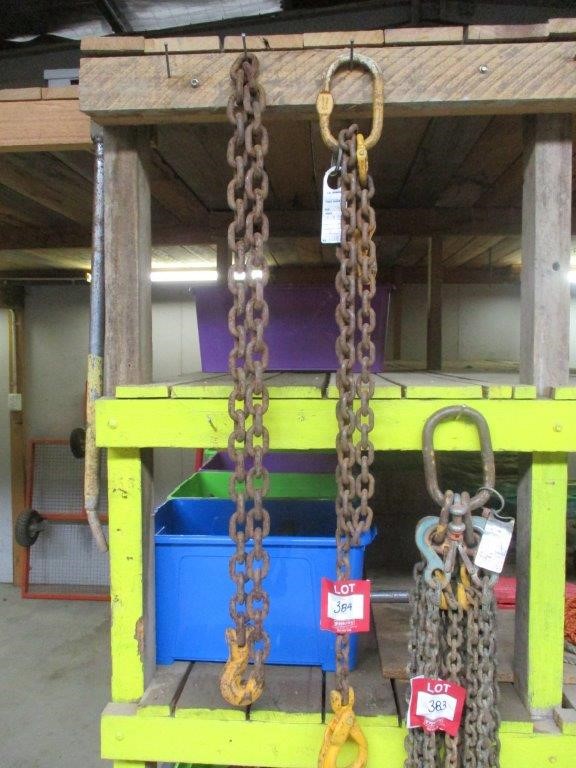 Lifting Chain and Chain Tie Down Auction (0124-3018613) | Grays Australia