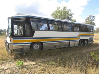 Austral Domino Tourist Bus