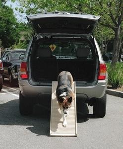 PetSTEP Pet Ramp