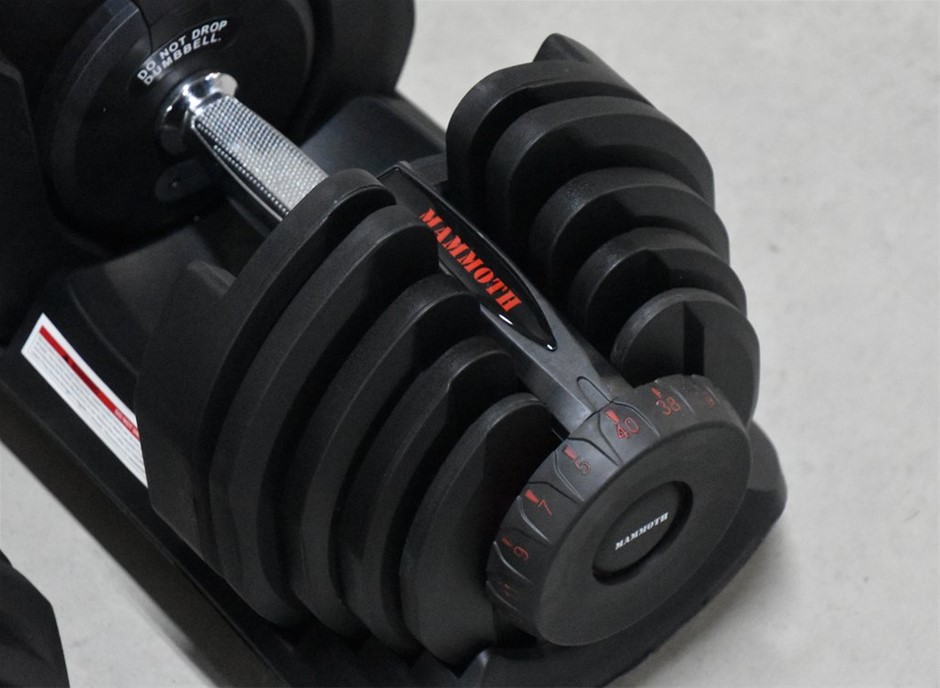 1 x 40kg Mammoth Adjustable Dumbbell