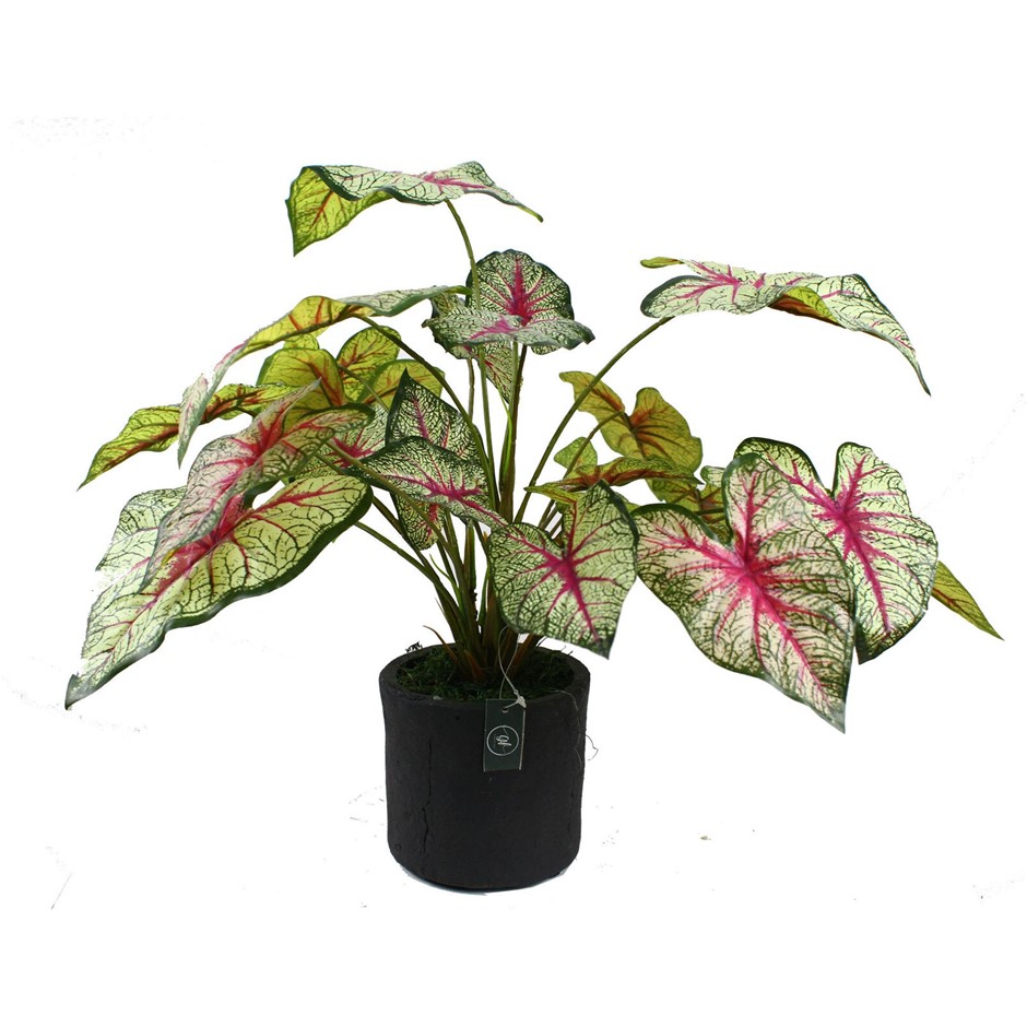 40cm Caladium in Pot Artificial Flower P