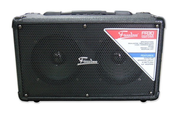 Freedom Twin 6` 30 Watt Guitar Amp