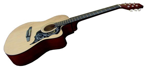 Freedom Cutaway Series Steel String Guit