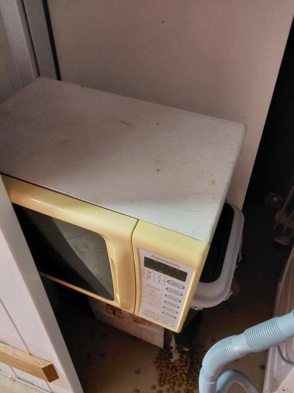 Entire contents of overdue storage including Auction (00013024435