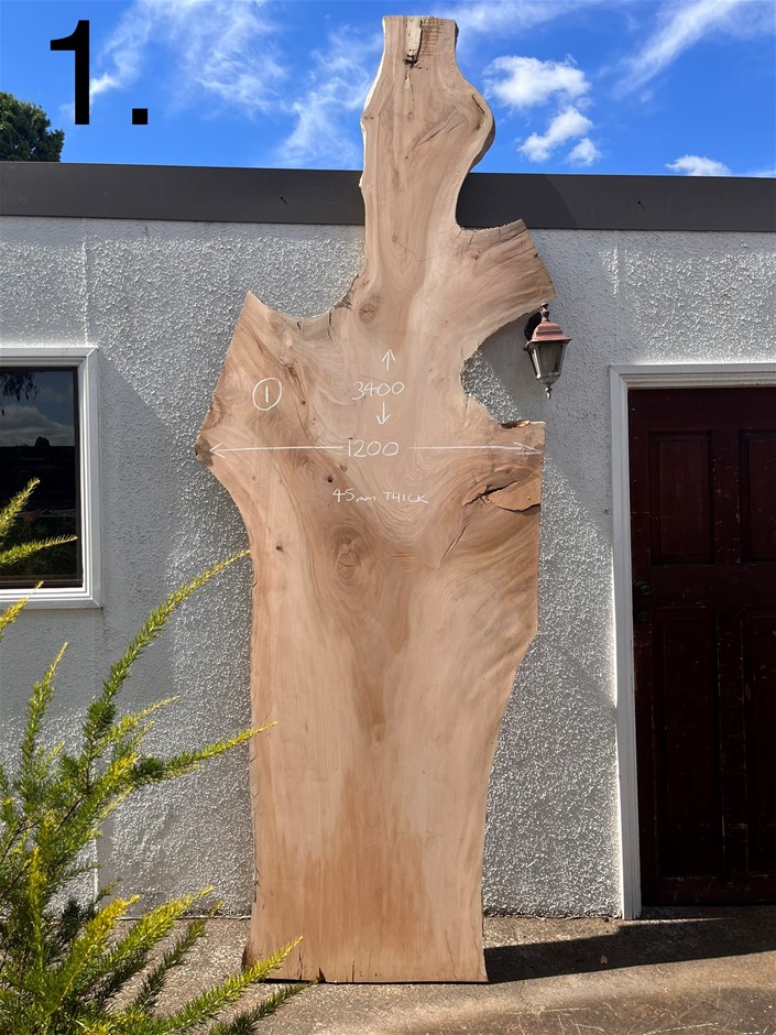 Timber Slabs to Include