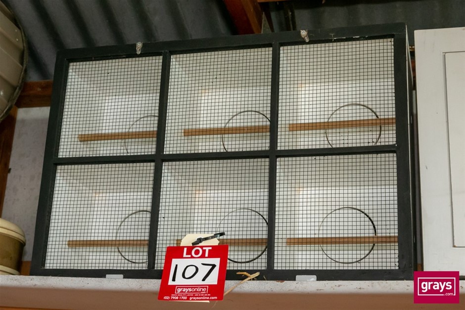 Timber with Steel Mesh Bird Show Cage Auction (01075051707) Grays