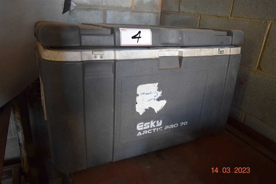 "Esky" 20 Litre Cool Box Auction (00049039843) Grays Australia