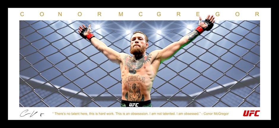 Conor McGregor UFC Wings - Framed Auction (0007-2187884) | Grays Australia