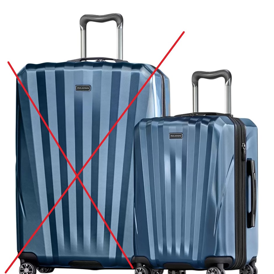 Ricardo hard shell luggage on sale