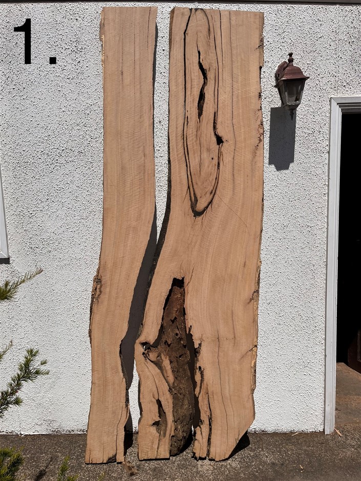Yellow Box Timber Slab Auction (00015054448) Grays Australia