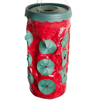 Upside Down Tomato Planter