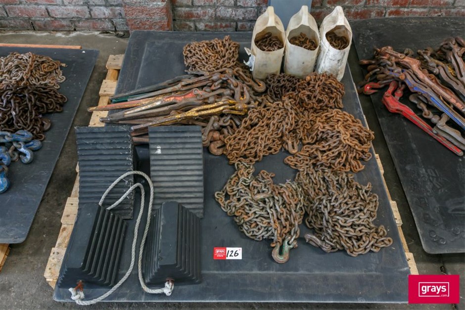 Assorted Lever Chain Dog tie Downs with Chains Auction (01265054433