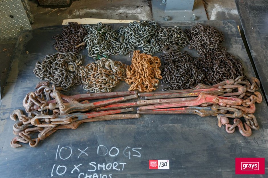 Assorted Lever Chain Dog tie Downs with Chains Auction (01305054433