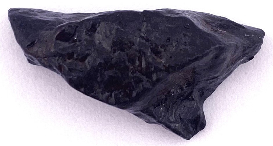 No Reserve Dinosaurs, Fossils & Meteorites