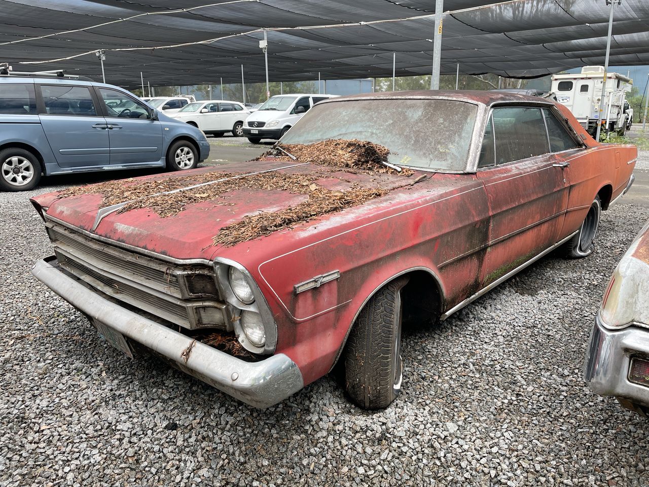 1966 Ford Galaxie 500 2 Door Fastback Import Auto 