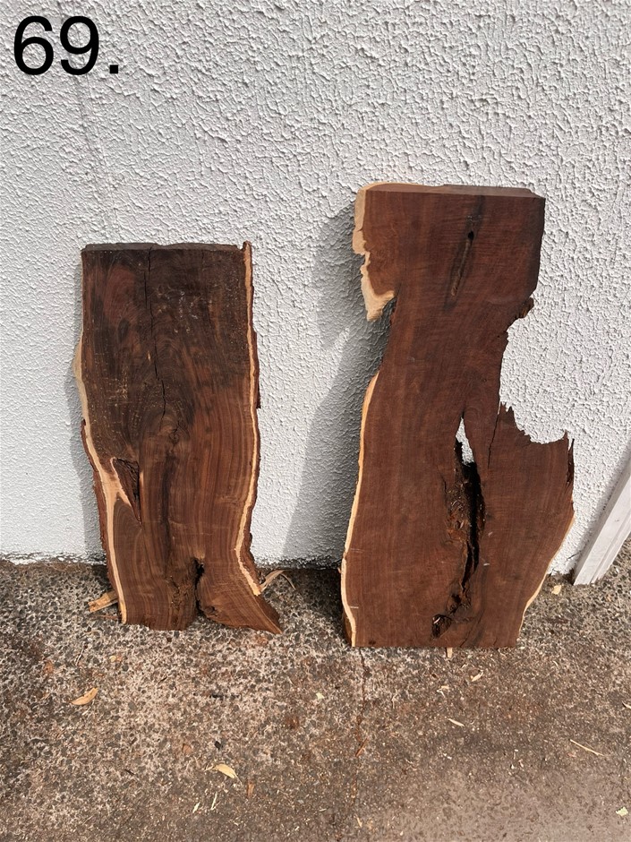 2 x Gidgee & Ringed Gidgee Timber Slab Pieces Auction (0069-5055775 ...