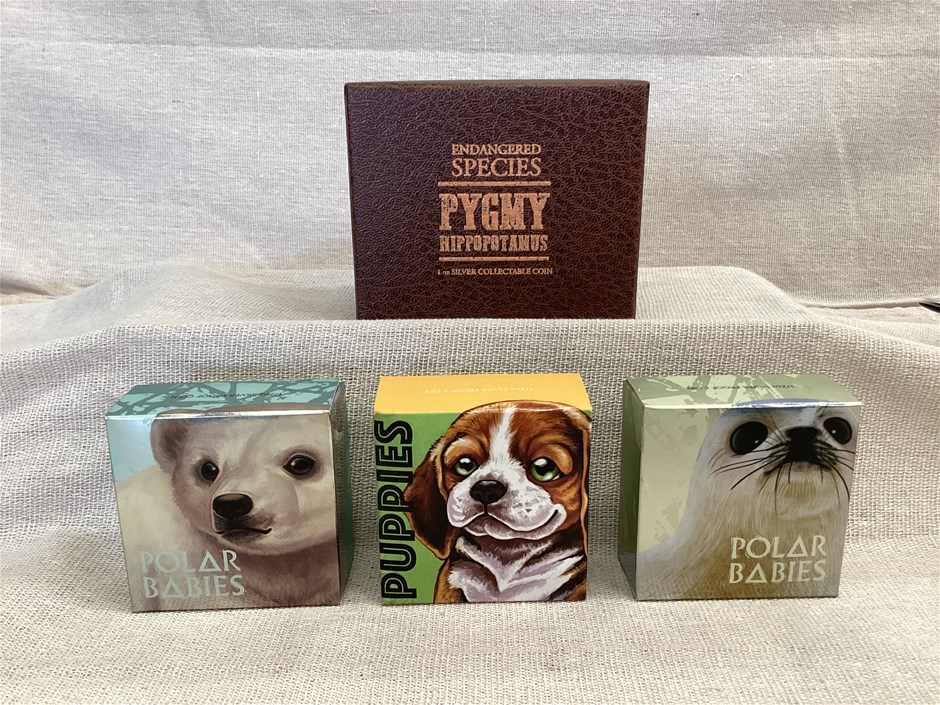 Unreserved Liquidation - Silver Bullions