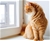IDEAL PET PRODUCTS Aluminum Sash Window Pet Door, X-Large/10.5" x 15", Whit