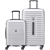 DELSEY Paris 2-Piece Luggage Set, Silver, Large: 73cm, Small: 55cm. NB: Use
