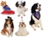 Assorted RUBIE'S Pet Costumes Including 4 x SuperGirl Tutu Dress (Small), 3