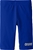 ARENA Boy's Board Jammer, Royal Blue, 24 US. Buyers Note - Discount Freigh