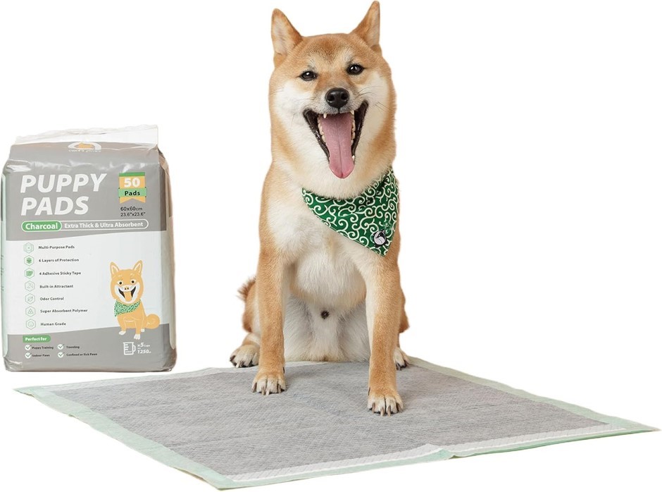 ASAHI PAWS Charcoal Puppy Training Pads 50PK - Super Absorbent & Leak-Proof