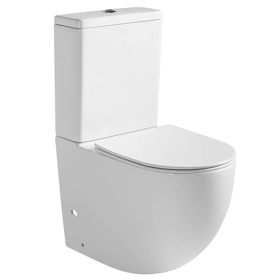 PRESENZA Dual Flush Fashion Skirted Toilet, Ceramic And UF, White.