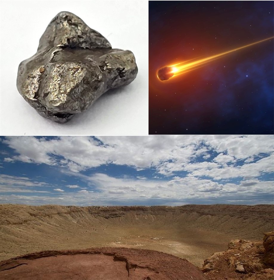 AN IMPORTANT IRON METEORITE FRAGMENT FROM THE FAMOUS CAMPO DEL CIELO ...