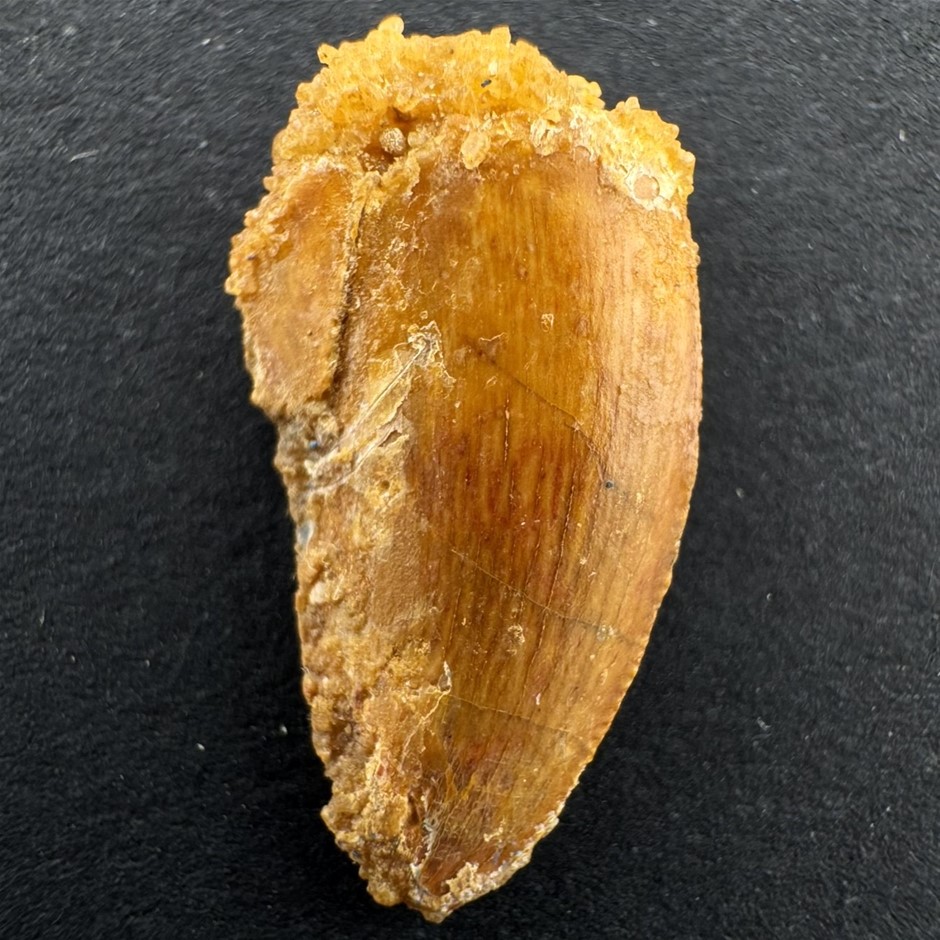 No Reserve Vintage Chinese Reverse Painted Glass Snuff