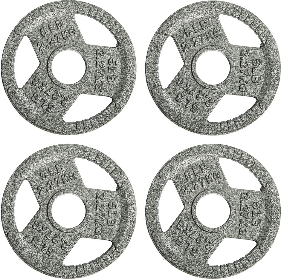 SPORZON! Cast Iron Weight Plates, 5lb (2.27kg), Pack of 4.