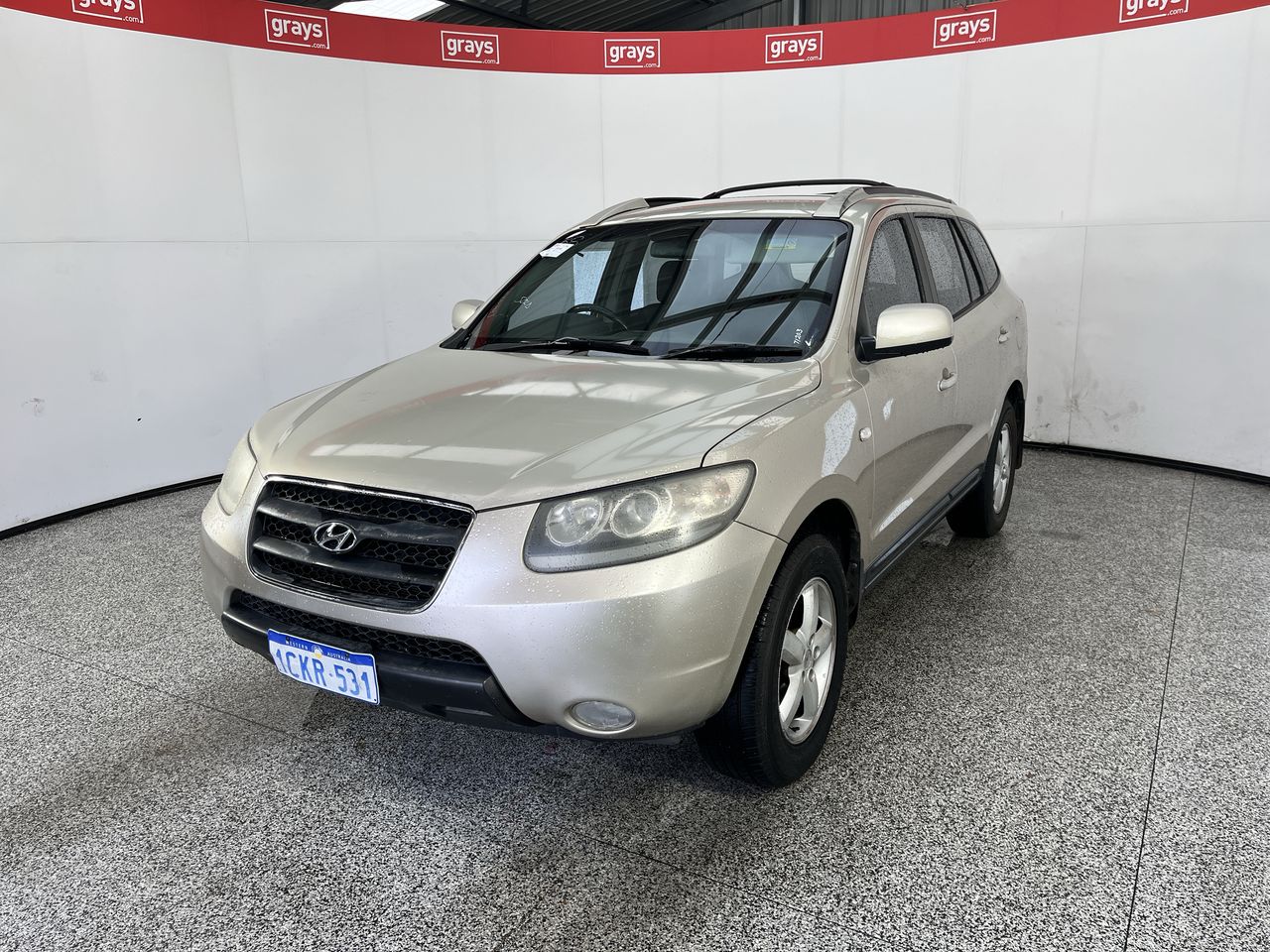 2006 Hyundai Santa Fe SLX CRDi (4x4) CM 