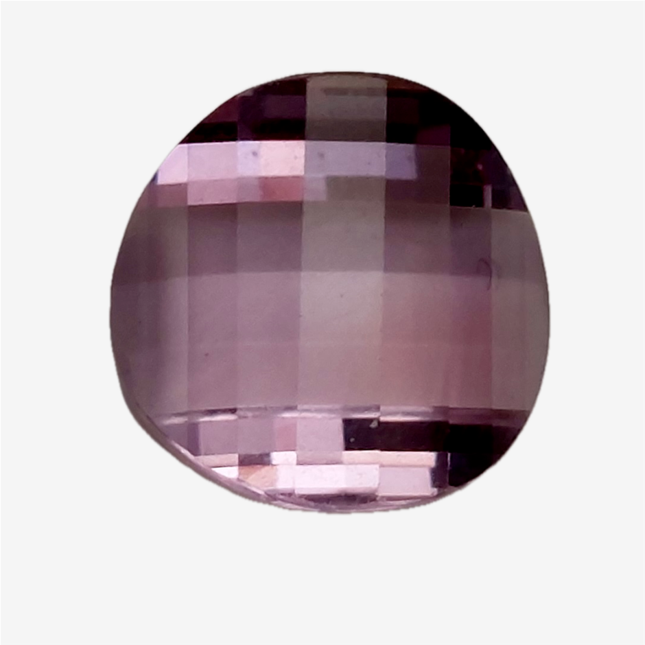 Horse Saddle C/Cut Amth