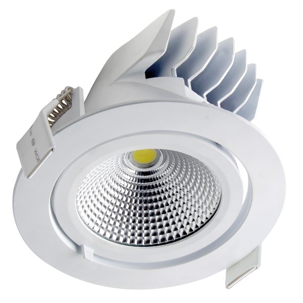 LED Snorkel Downlight - 25W - 5000K