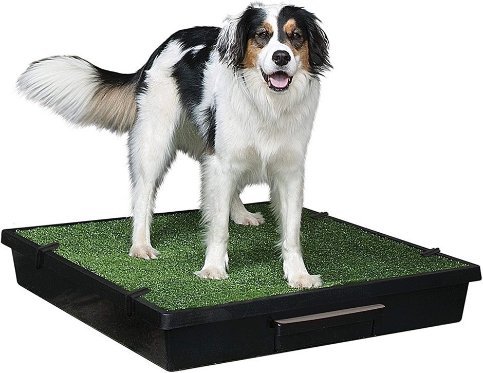 PETSAFE Portable Toilet For Pets, Indoor Use, Inc. Grass Pad, Large.